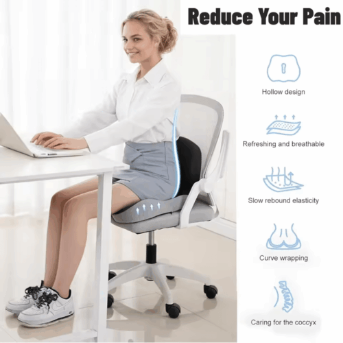 ErgoPad Seat Cushion (Official Retailer) [year]