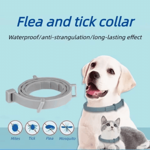 Fur Sweep Collar (Official Retailer) [year]