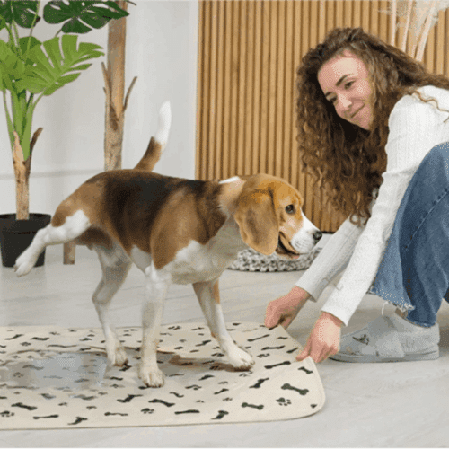 Furthrive Pads (Official Retailer) [year]