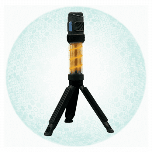 Import placeholder for 1901