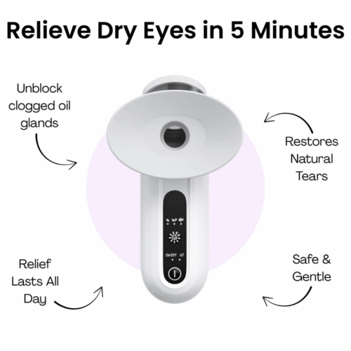 Eyvelle Steam Therapy (Official Retailer) [year]